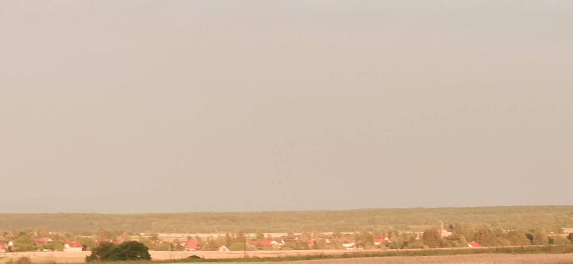 Landschaft im Nationalpark Hainich