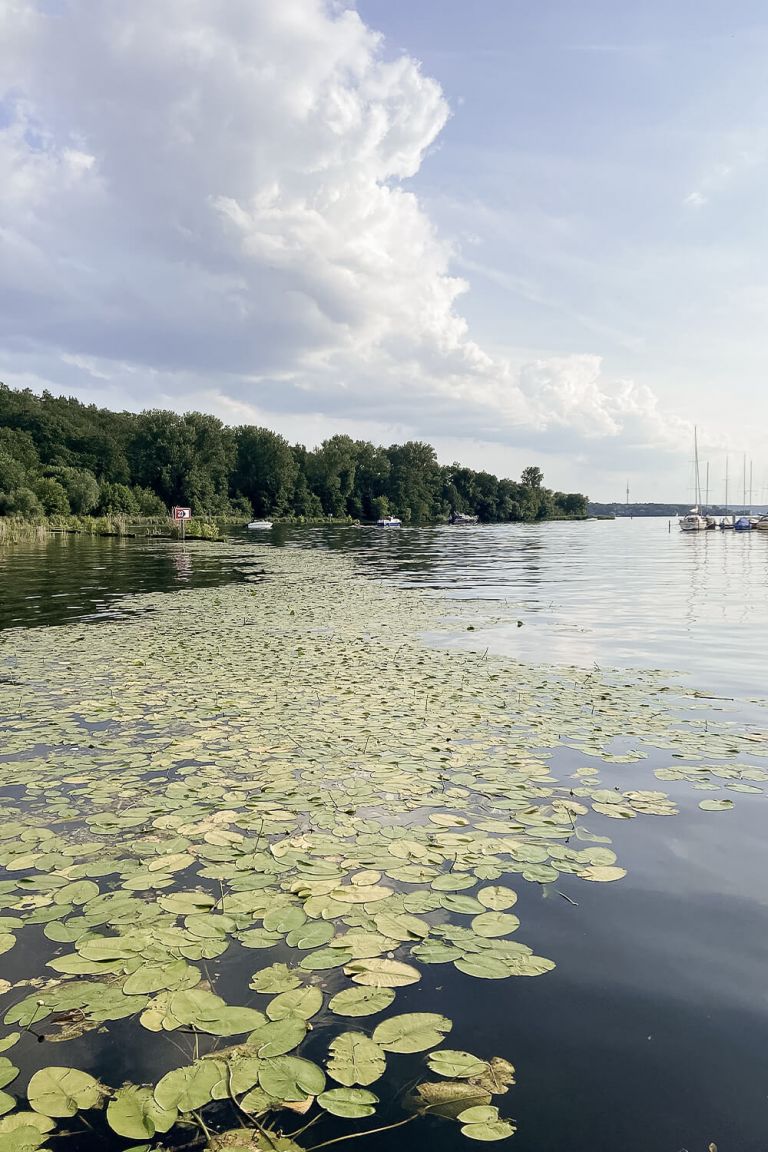 Insel Lindwerder Inselfeeling in Berlin traveling & other stories