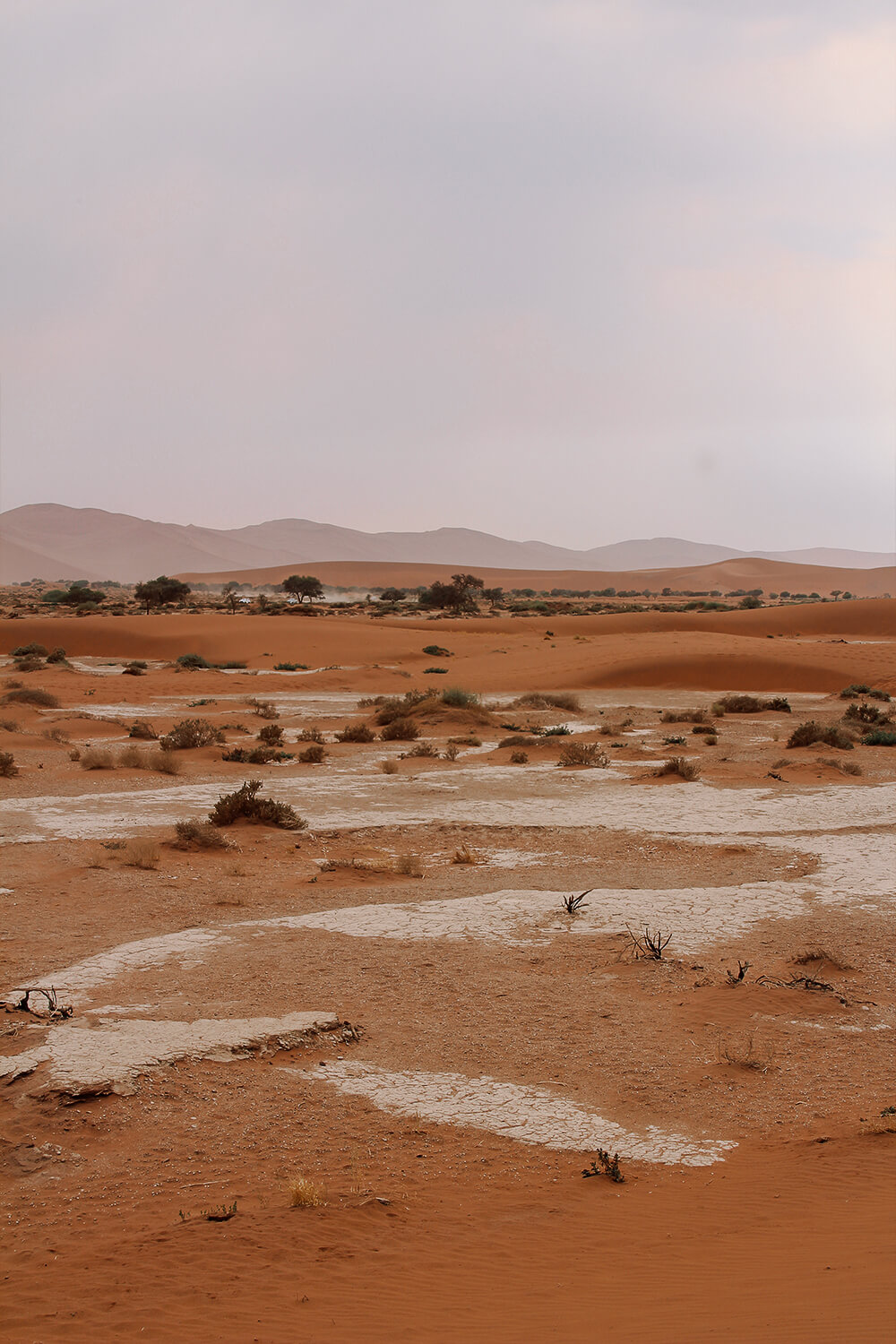 Lanndschaft von Sossusvlei in Namibia