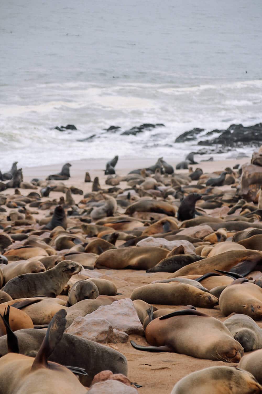 Cape Cross, Namibia Robbenkolonie am Cape Cross, Namibia