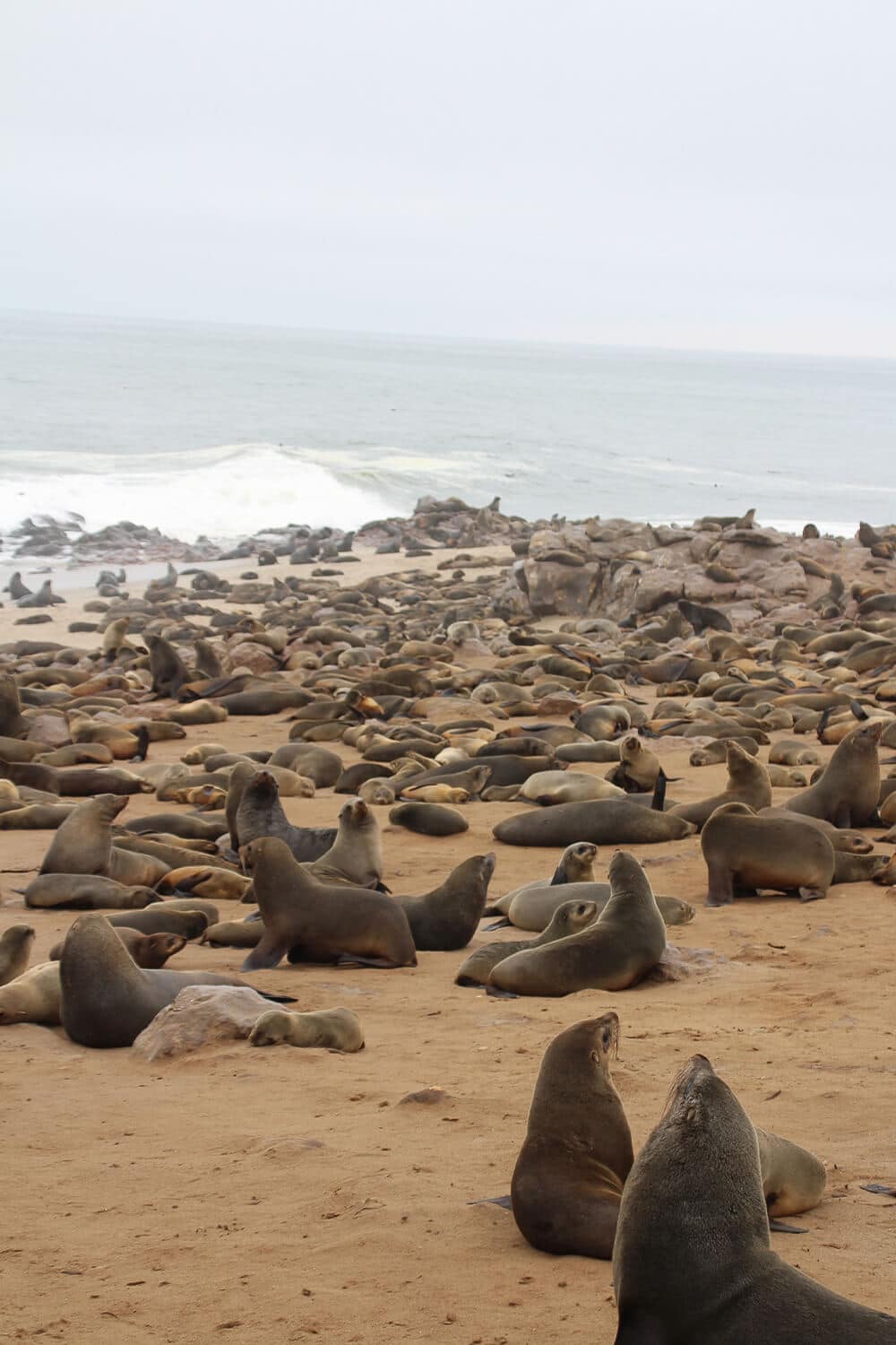 Cape Cross, Namibia Robbenkolonie am Stand von Cape Cross, Namibia