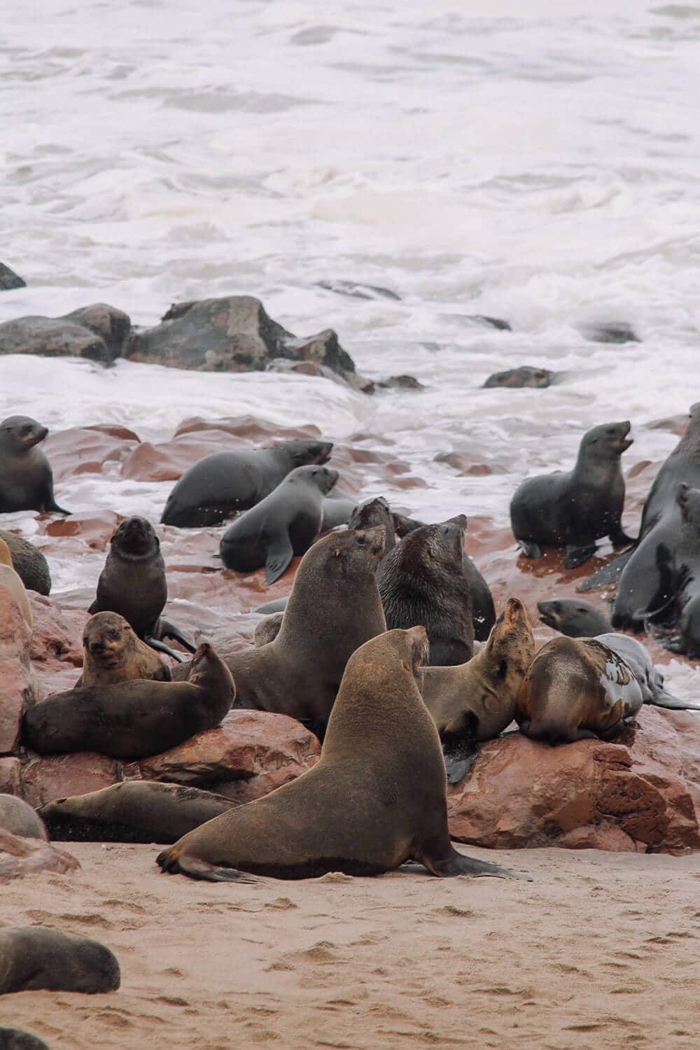 Cape Cross, Namibia Robbenkolonie am Strand von Cape Cross in Namibia