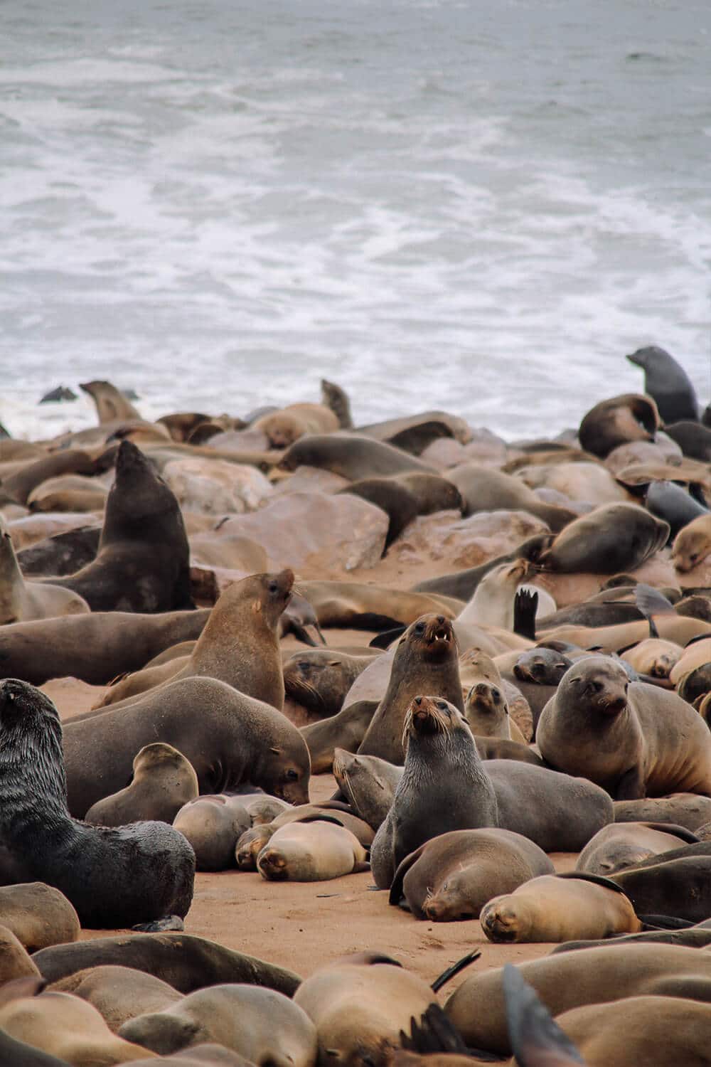 Cape Cross, Namibia Robbenkolonie in Cape Cross, Namibia