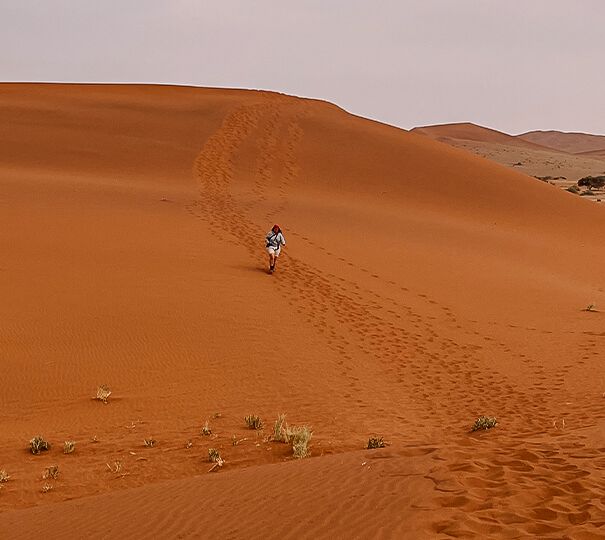Dünen von Sossusvlei in Namibia