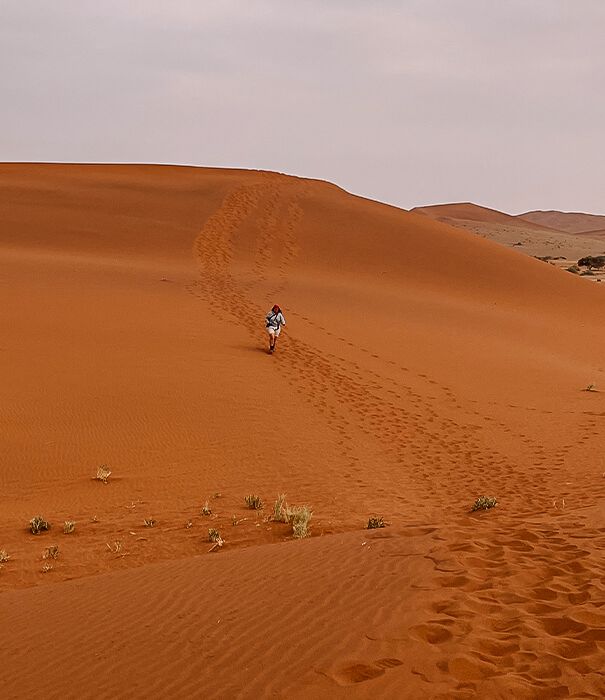 Dünen von Sossusvlei in Namibia