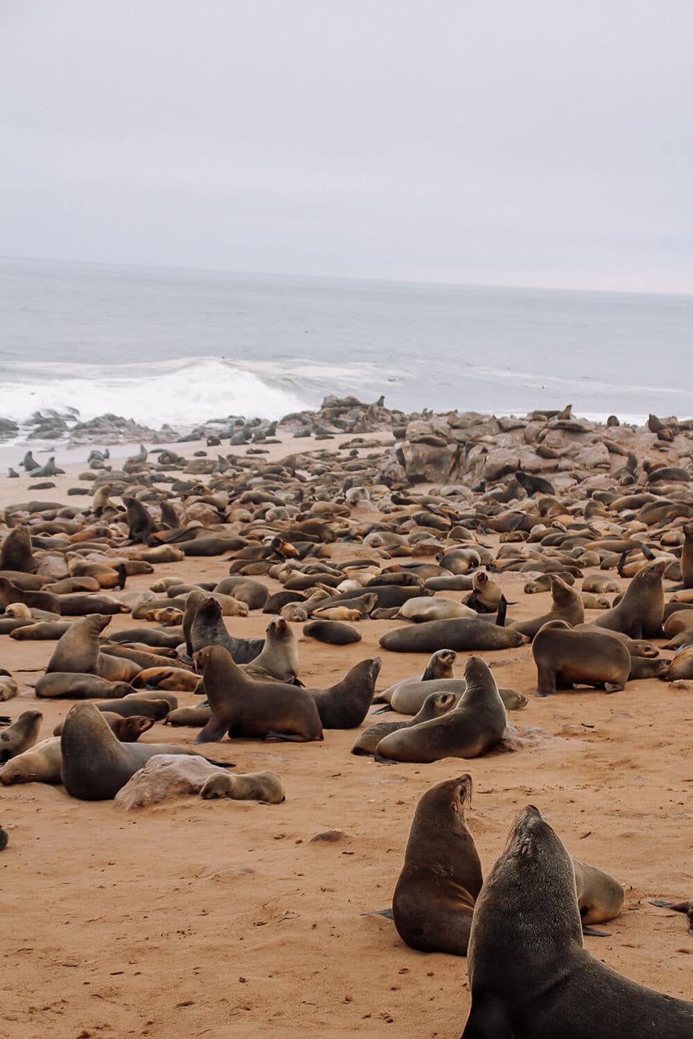 Cape Cross, Namibia Robbenkolonien am Strand von Cape Cross, Namibia
