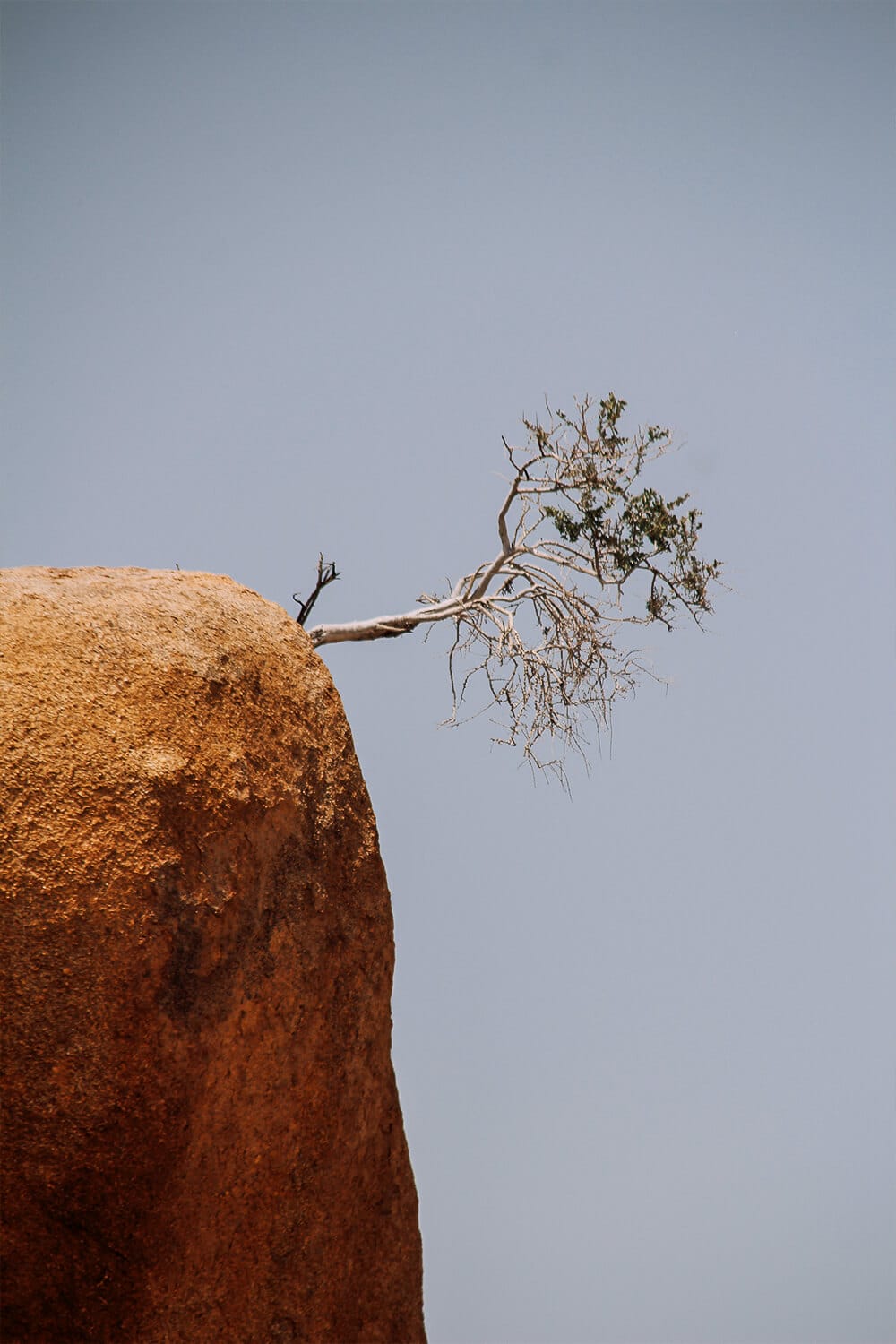 Nationalpark Spitzkoppe Namibia Baum auf einem Berggipfel im Nationalpark Spitzkoppe in Namibia
